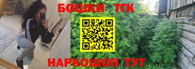 меф Гатчина