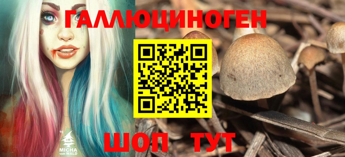 Иркутск  Галлюциногенные грибы прущие грибы  Вход с VPN  Галлюциногенные грибы GOLDEN TEACHER 